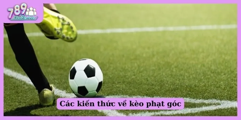 Các kiến thức về kèo phạt góc