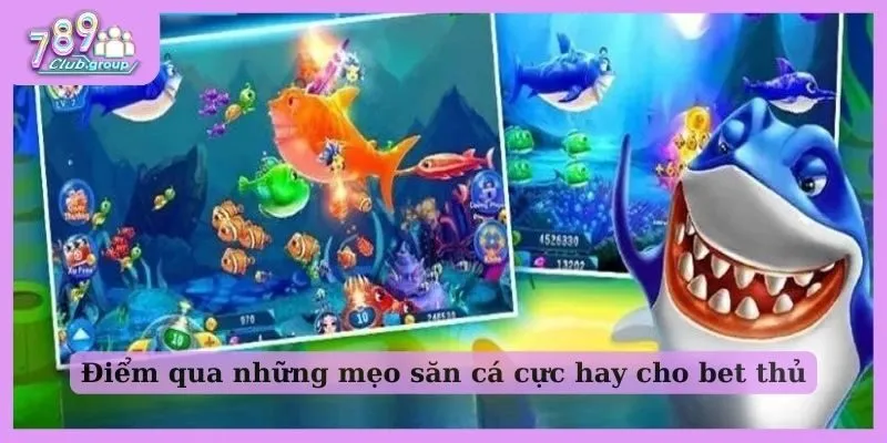 Điểm qua những mẹo săn cá cực hay cho bet thủ