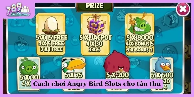 Cách chơi Angry bird slots cho tân thủ