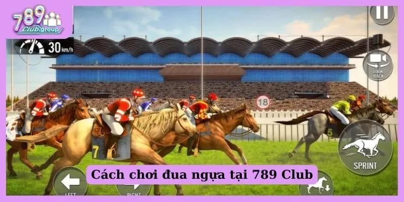 Hướng dẫn cách chơi đua ngựa tại 789 Club 