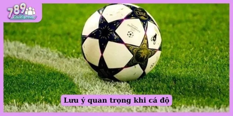 Lưu ý quan trọng khi cá độ