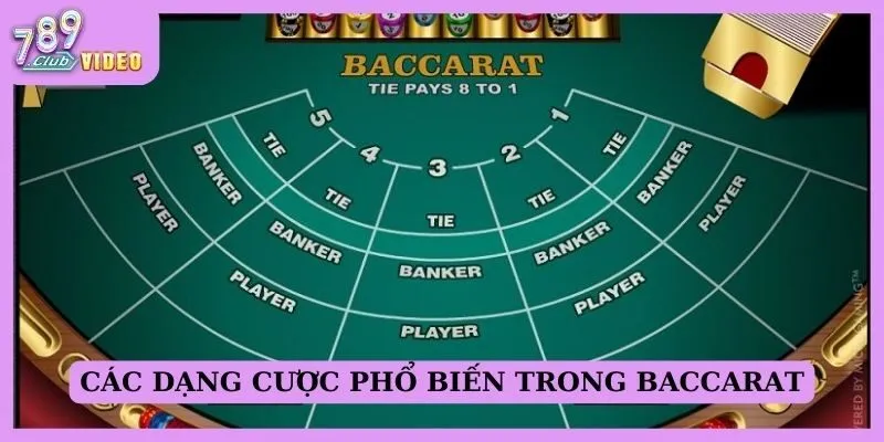 Các dạng cược phổ biến trong Baccarat