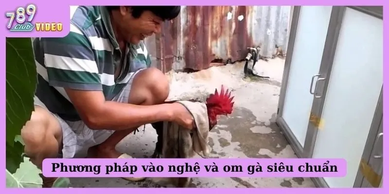 Phương pháp vào nghệ và om gà siêu chuẩn