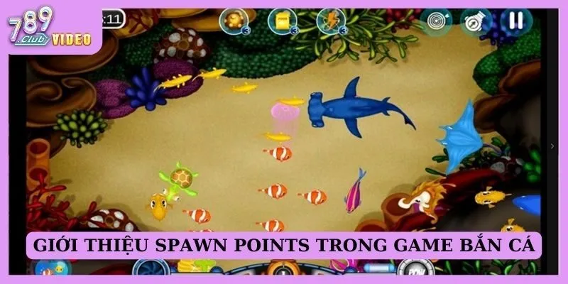 Giới thiệu spawn points trong game bắn cá