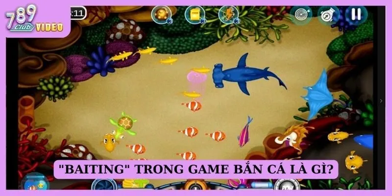 "Baiting" trong game bắn cá là gì?