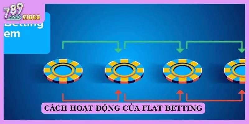 Cách hoạt động của Flat Betting